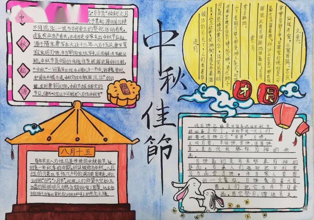 拯救受伤的猫