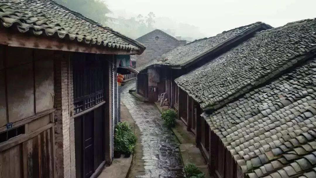 新华社快讯 | 郑钦文获得澳网女单亚军